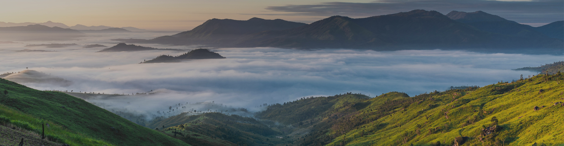 Expande tus horizontes