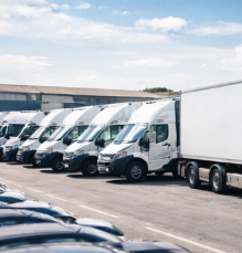 variedad de vehículos