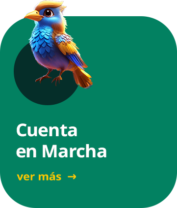 Cuenta En Marcha