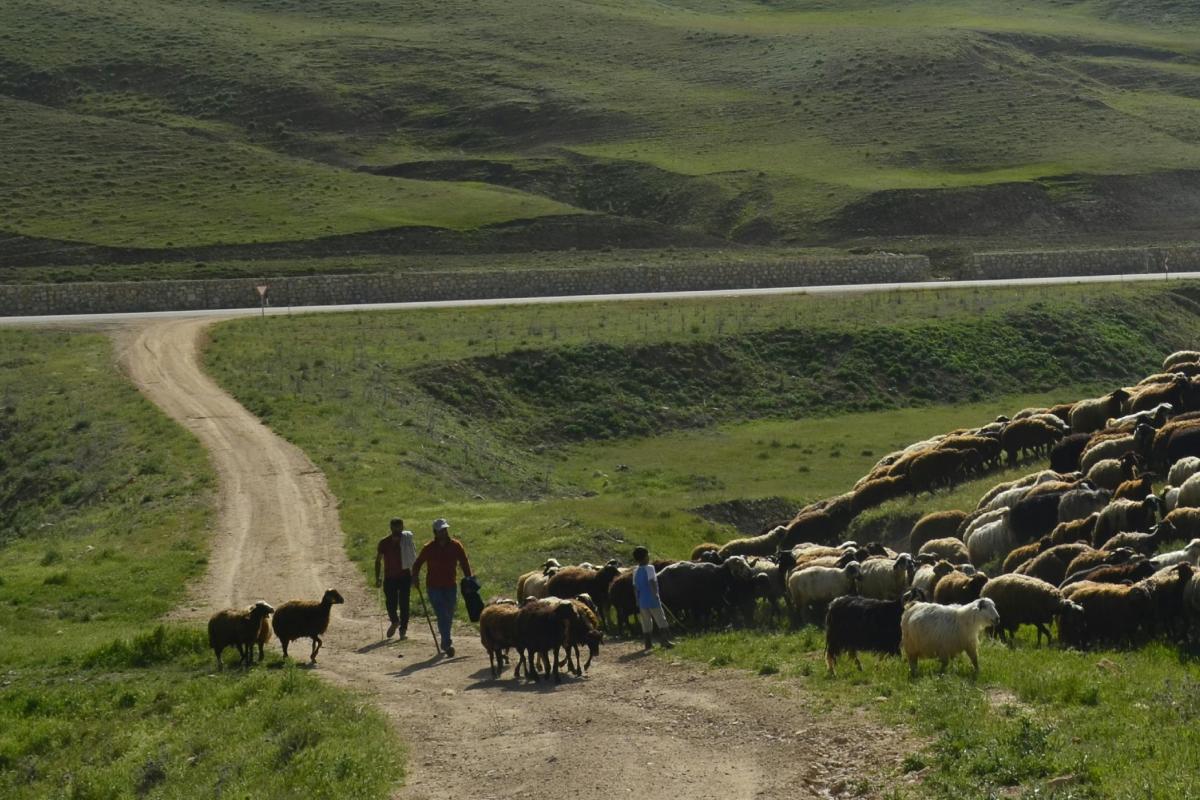 Ley de Restauración de la Naturaleza: Claves y controversias.