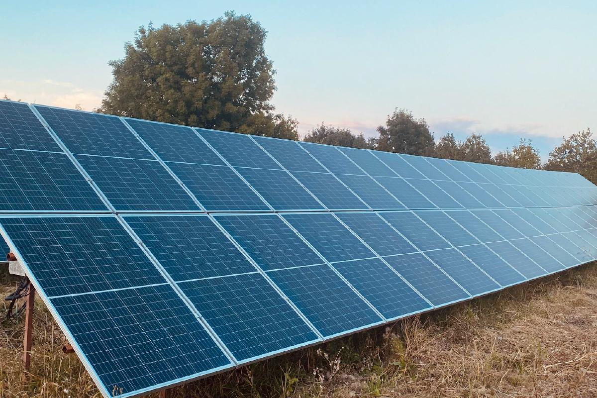 Placas solares: cómo funcionan y opciones en casa.