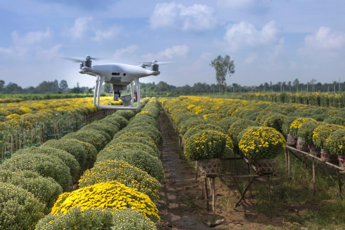 innovación para una Agricultura Sostenible innovación para una Agricultura Sostenible
