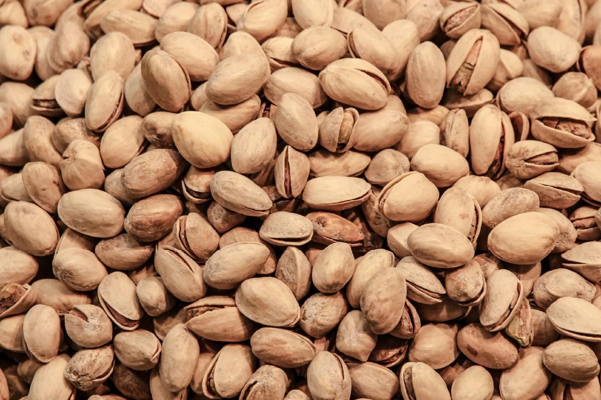El pistacho: cultivo rentable y sostenible en España El pistacho: cultivo rentable y sostenible en España