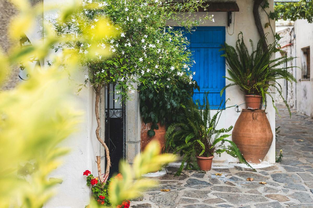 Haz tu jardín eficiente y sostenible con Grupo Caja Rural