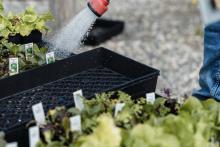 Oportunidades “glocales” para jóvenes en zonas rurales