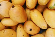 Tu nevera también puede ser verde: comer mejor, gastar menos