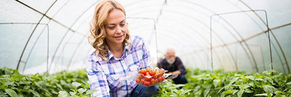 SAECA - Mujer rubia agricultora con camisa de cuadros azules, sonriendo mientras recoge vegetales en un invernadero