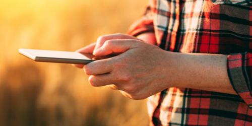 Ruralvía app - Manos cogiendo un móvil para consultar Ruralvía móvil Ruralvía app - Manos cogiendo un móvil para consultar Ruralvía móvil